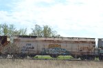 TIMX 515128